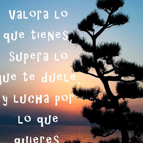torresjose749